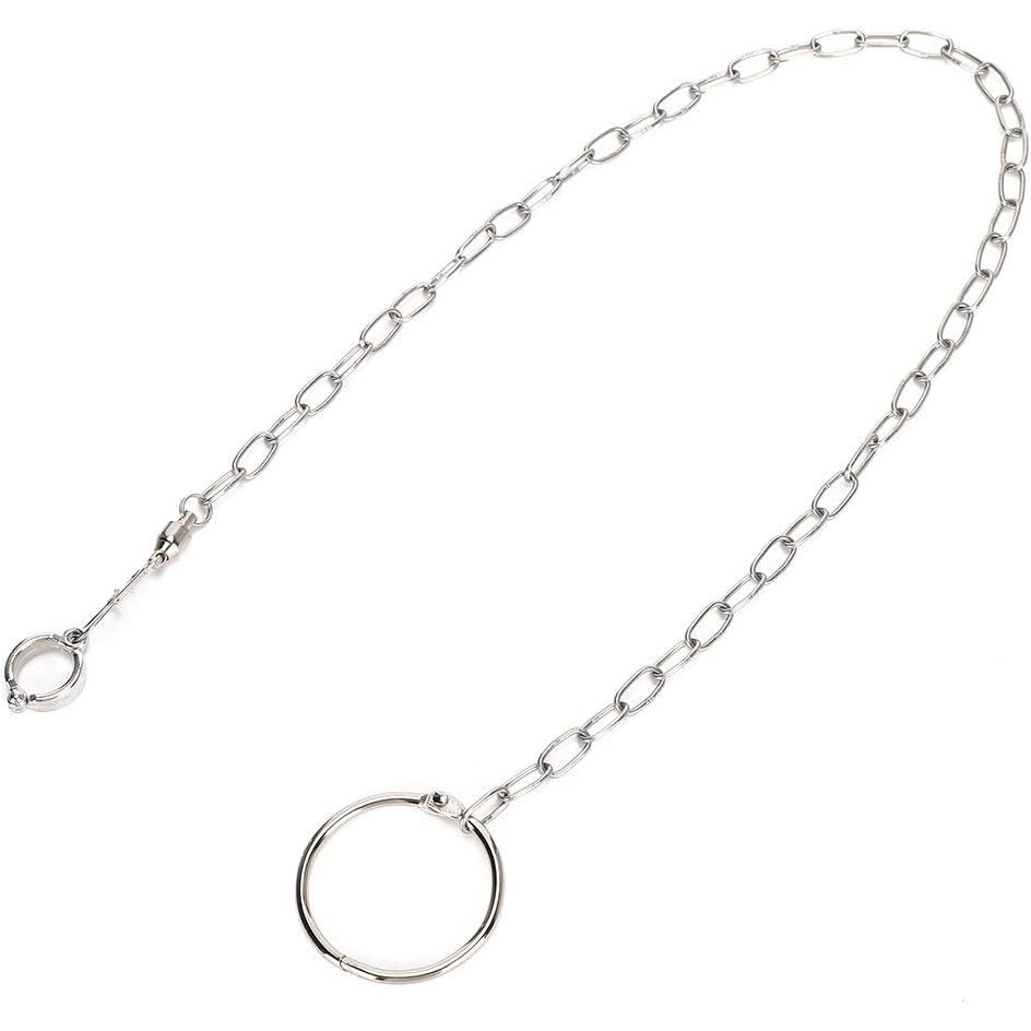 Buy now Rehomy Parrot Foot Chain, Stainless Steel Anti-bite Flying Training Anklet Ring Bird Harness for Parrots Macaw African Greys Parakeet Cockatoo Cockatiel Conure Lovebird at indiglob india