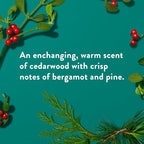 Buy now Native Body Wash, Holiday Edition, Fresh Mistletoe Scent, Contains Naturally Derived Ingredients | For Women & Men, Sulfate, Paraben, & Dye Free Leaving Skin Soft and Hydrated | 18 oz at indiglob india