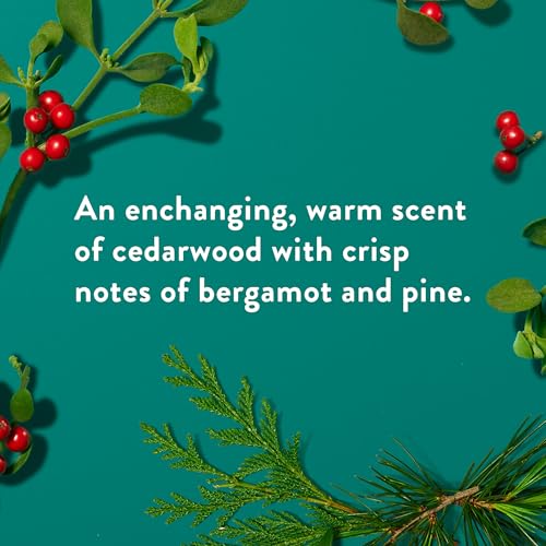 Buy now Native Deodorant, Holiday Edition, Fresh Mistletoe Scent, Contains Naturally Derived Ingredients, 72 Hour Odor Control | Deodorant for Women and Men, Aluminum Free with Baking Soda at indiglob india