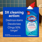 Buy now Clorox Toilet Bowl Cleaner Heavy Duty Stain and Ring Remover, Arctic Clean, 24 Fl Oz., Pack of 2 at indiglob india