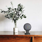 Buy now SPORTLINK Pedestal for Nest Mini (2nd Gen) and Google Home Mini (1st Generation) Improves Sound Visibility and Appearance - A Must Have Mount Holder Stand for Nest Mini (2nd Gen)/ Google Mini (Black) at indiglob india