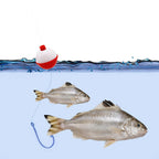 Premium imported Fishing Floats Hard ABS Bobber perfect for enhancing your fishing experience. Available at Curat Cart.
