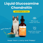 Paramount Pet Health Liquid Glucosamine Chondroitin MSM for Cats, Hip & Joint Support Supplement, Supports Mobility and Flexibility, Senior Cat Liquid Joint Supplement Drops for Daily Care, 2 oz