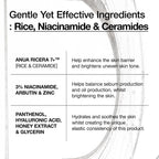 Anua Rice Ceramide 7 Hydrating Barrier Serum, 1.69 fl oz | Moisturizing Face Serum, Non-comedogenic, Hyaluronic Acid, Niacinamide, Lightweight, Fragrance Free, Sensitive Dry Skin