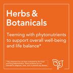 Now Foods Olive Leaf Extract 500mg Standardized to 6% Oleuropein, 120 Vcaps (2 Pack)