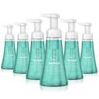 Buy now Method Foaming Hand Soap, Waterfall, Paraben and Phthalate Free, Biodegradable Formula, 10 fl oz (Pack of 6) 10 Fl Oz (Pack of 6) Pump Bottle at indiglob india