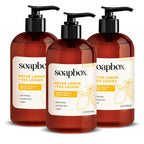 Buy now Soapbox Liquid Hand Soap, Coconut Milk & Sandalwood, Gentle & Moisturizing Hand Wash for Kitchen and Bathroom, Vegan & Cruelty Free Scented Hand Soap 12 Ounce Pump Bottles (Pack of 3) at indiglob india