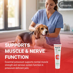 Vetoquinol Renal K, Potassium Gel for Dogs and Cats, Maple, 5 oz