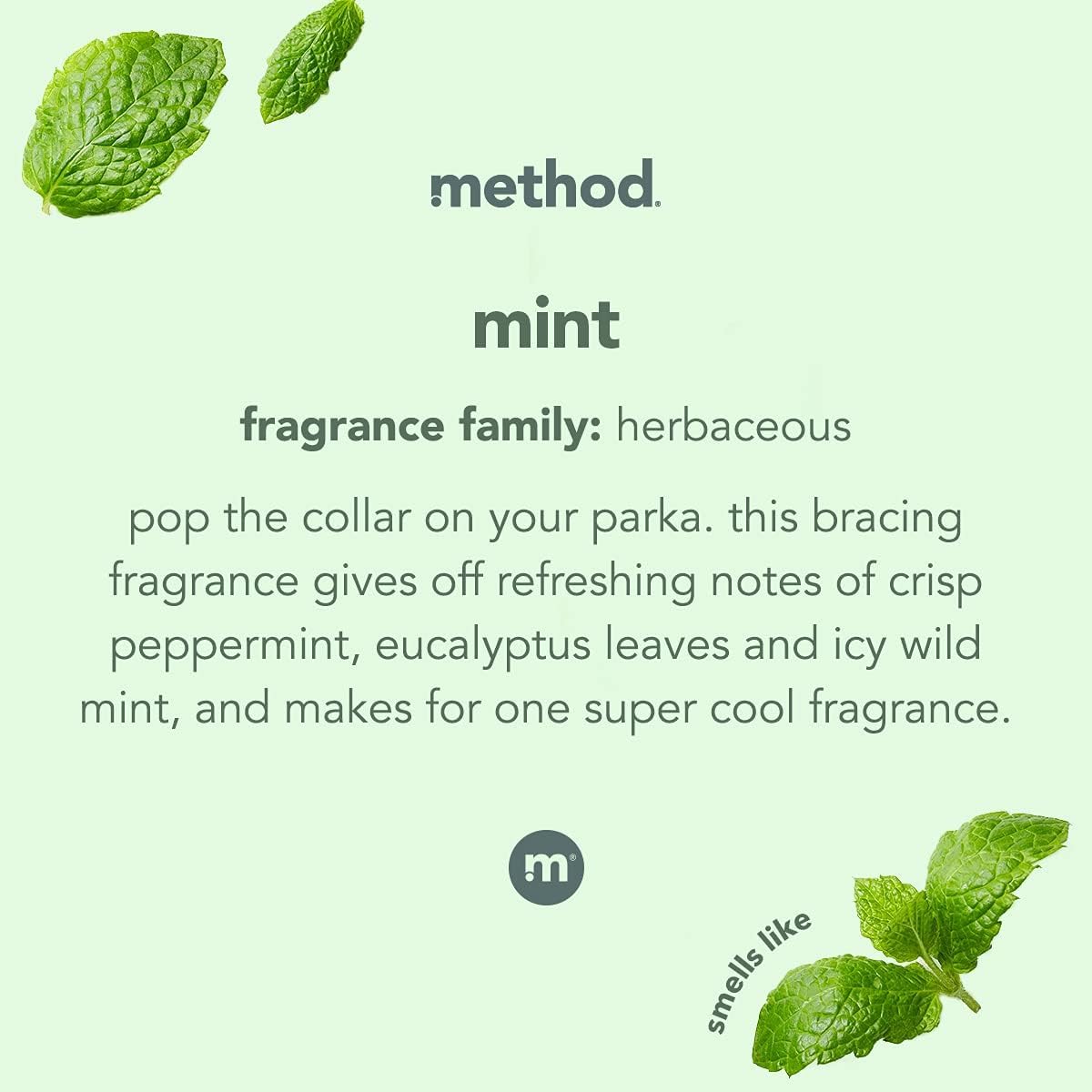 Method Glass Cleaner, Mint, 28 Ounces, 1 pack, Packaging May Vary