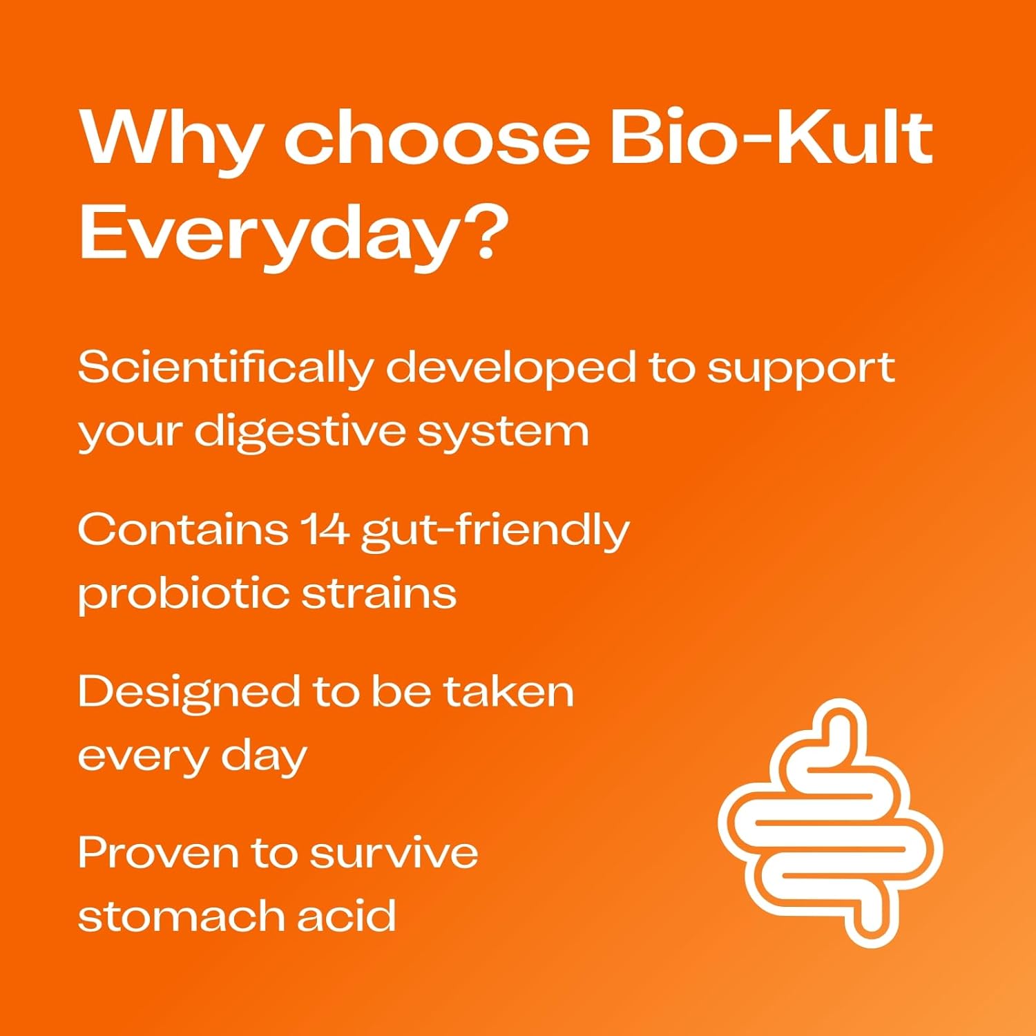Buy now Bio-Kult Gut Health Probiotic Supplement, 14 Strains, Probiotics for Women & Men, Immune Support, Digestive Health, Shelf-Stable, Non-GMO and Gluten-Free, Capsules, 60 Count (Pack of 1) at indiglob india