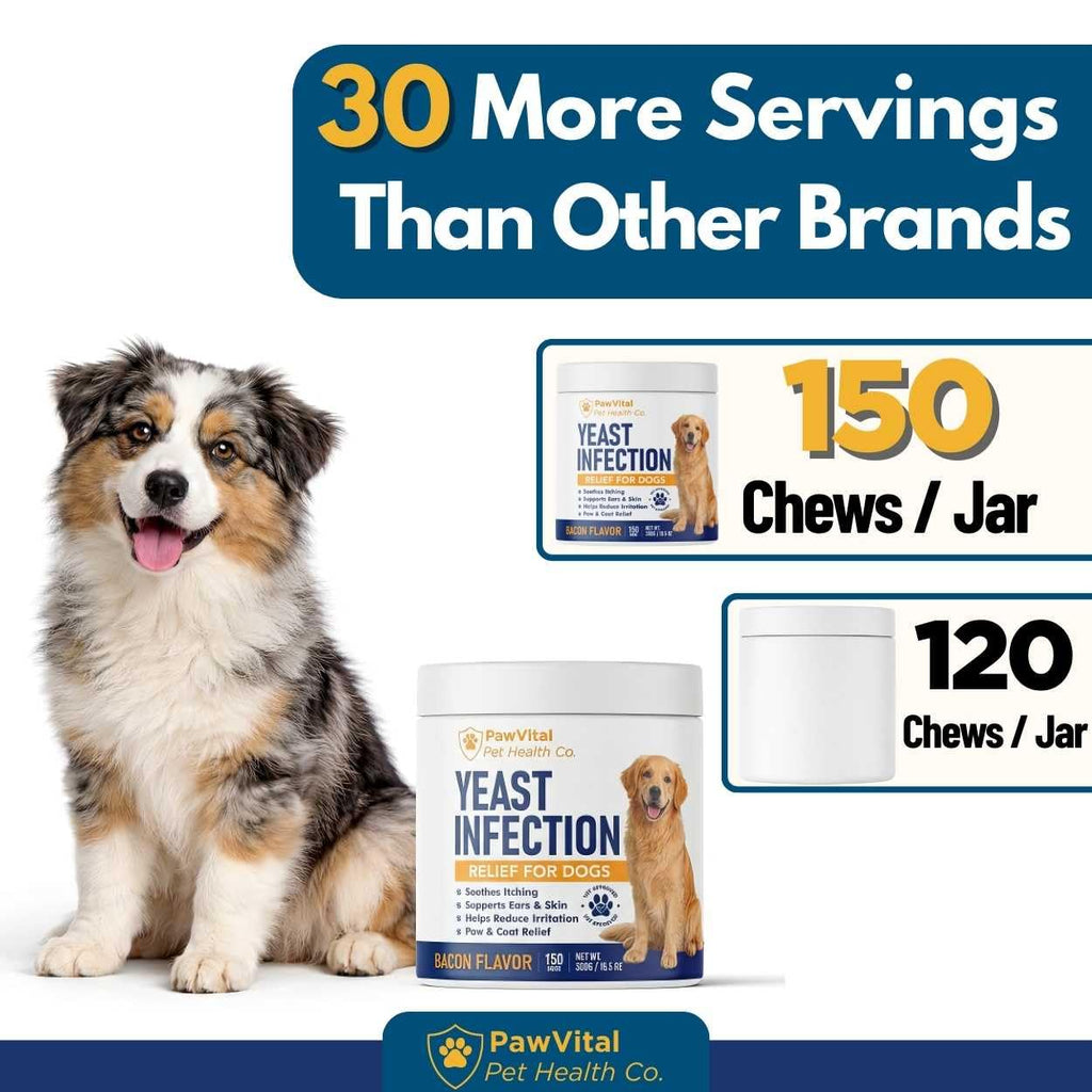 Natural Yeast Infection Treatment for Dogs, 150 Chews – Anti Yeast Support for Itchy Skin & Ears – Helps Reduce Irritation & Paw Licking – Probiotic + Herbal Blend – Bacon Flavored Soft Chews