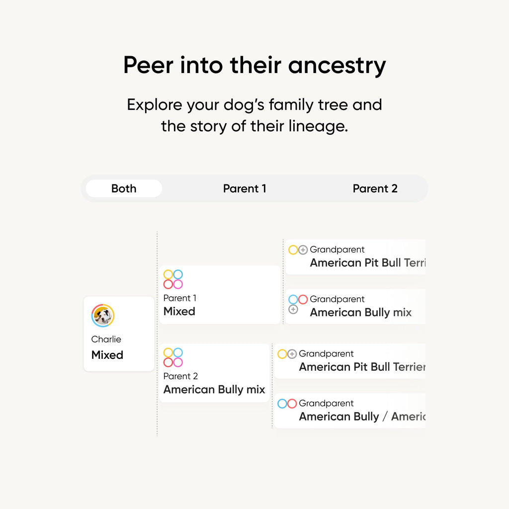 Embark Breed ID Dog DNA Test Kit – 400+ Breeds, 99% Breed Accuracy