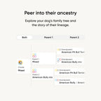 Embark Breed ID Dog DNA Test Kit – 400+ Breeds, 99% Breed Accuracy