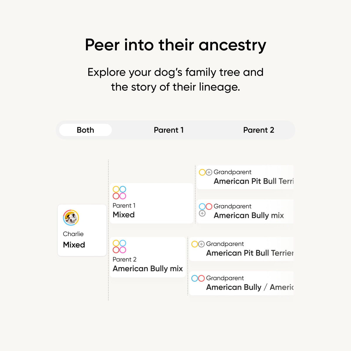 Embark Breed ID Dog DNA Test Kit – 400+ Breeds, 99% Breed Accuracy