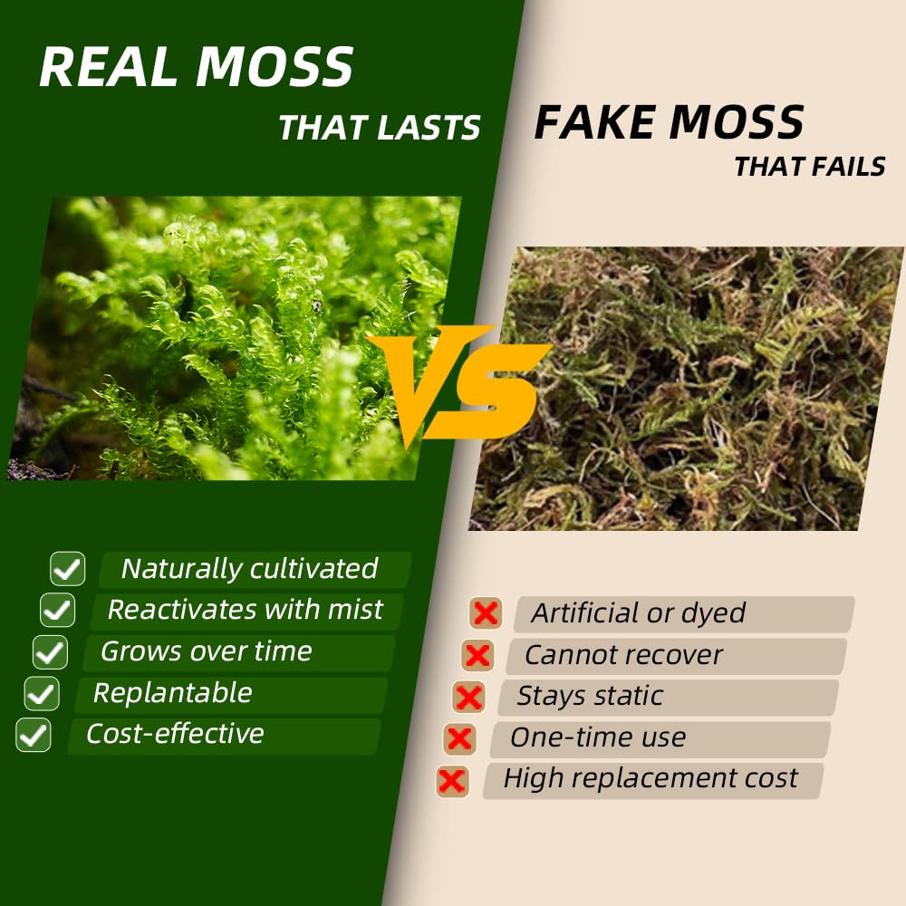 Live Moss Duo Pack 2 Types of Real Live Sheet/Sphagnum Moss for Terrariums, Terrarium Mosses Landscaping, Reptile Tank Accessories, Snake & Gecko Humidity Substrate Mosses for Crafts & Plant Décor