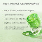 Buy now Aloderma Aloe Vera Gel Made within 12 Hours of Harvest with 96% Pure Organic Aloe Vera for Skin, Scalp, & Hair, Soothing Aloe Face Moisturizer, Multipurpose, Hydrating Aloe Gel, 7.05oz at indiglob india