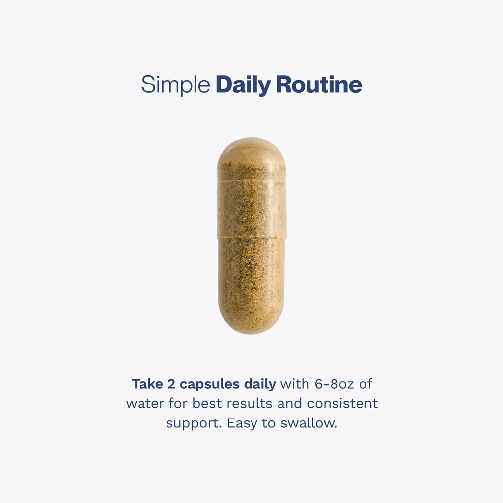 Prostate Support for Men, Urinary Flow & Bladder Care, 60 Capsules | With probiotics, black walnut, nettle, turmeric, lycopene, pumpkin seed, vitamin D3 & K2, zinc & selenium.