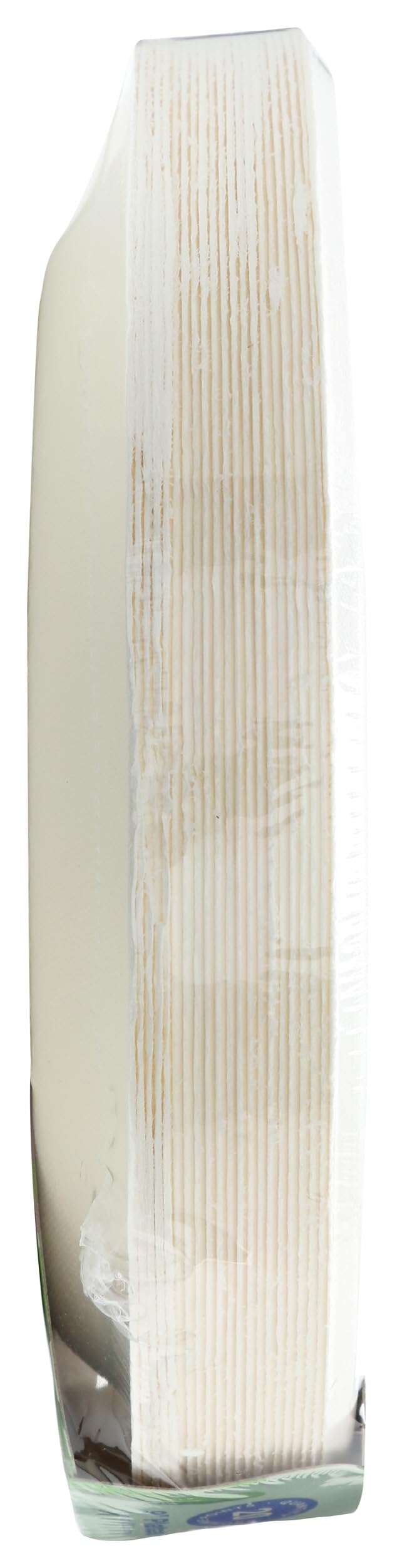 Repurpose Compostable 9 Inch Plates 20 Count, 20 CT