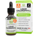 Benevolent Nourishment Chlorophyll Supplement, Detox & Immune Support, Internal Deodorizer, Liquid Drops | Highly Absorbable Supplement for Energy Support, Immune Wellness, Natural Cleansing, 4 Month Supply