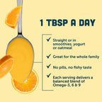 Barlean's Orange Creme Omega 3-6-9 Liquid Fish Oil, 2400mg Omegas,16oz | Fish, borage & flax oils, EPA DHA ALA GLA omegas, Burpless, Non-GMO, Gluten-free, Heart, joint & skin support