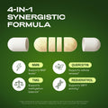 Cata-Kor NMN Supplement – 4-in-1 NAD Supplement with Quercetin | TMG | Resveratrol – NMNH Alternative – Supports Cellular Energy & NAD+ Level – 60 Capsules – Third-Party Tested (1 Pack)