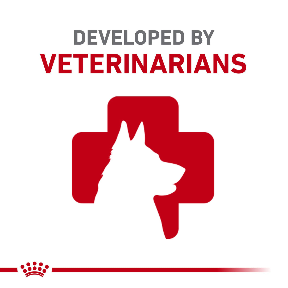 Royal Canin Size Health Nutrition Large Aging 8+ Senior Dry Dog Food, 30 lb Bag