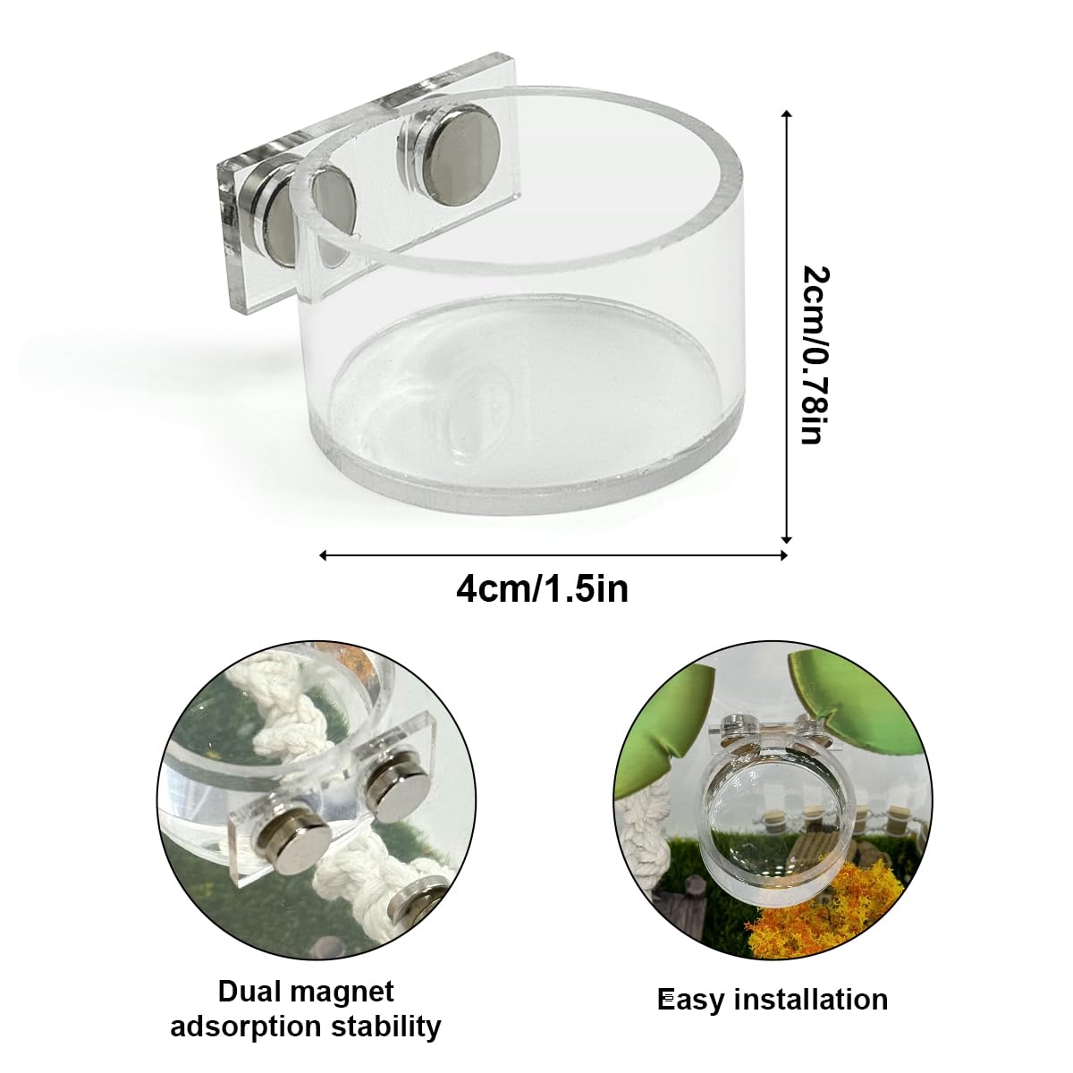 Jumping Spider Feeding Dish Set, Magnetic Water Bowl, Reptile Feeding Tongs, Jumping Spider Enclosure Accessories