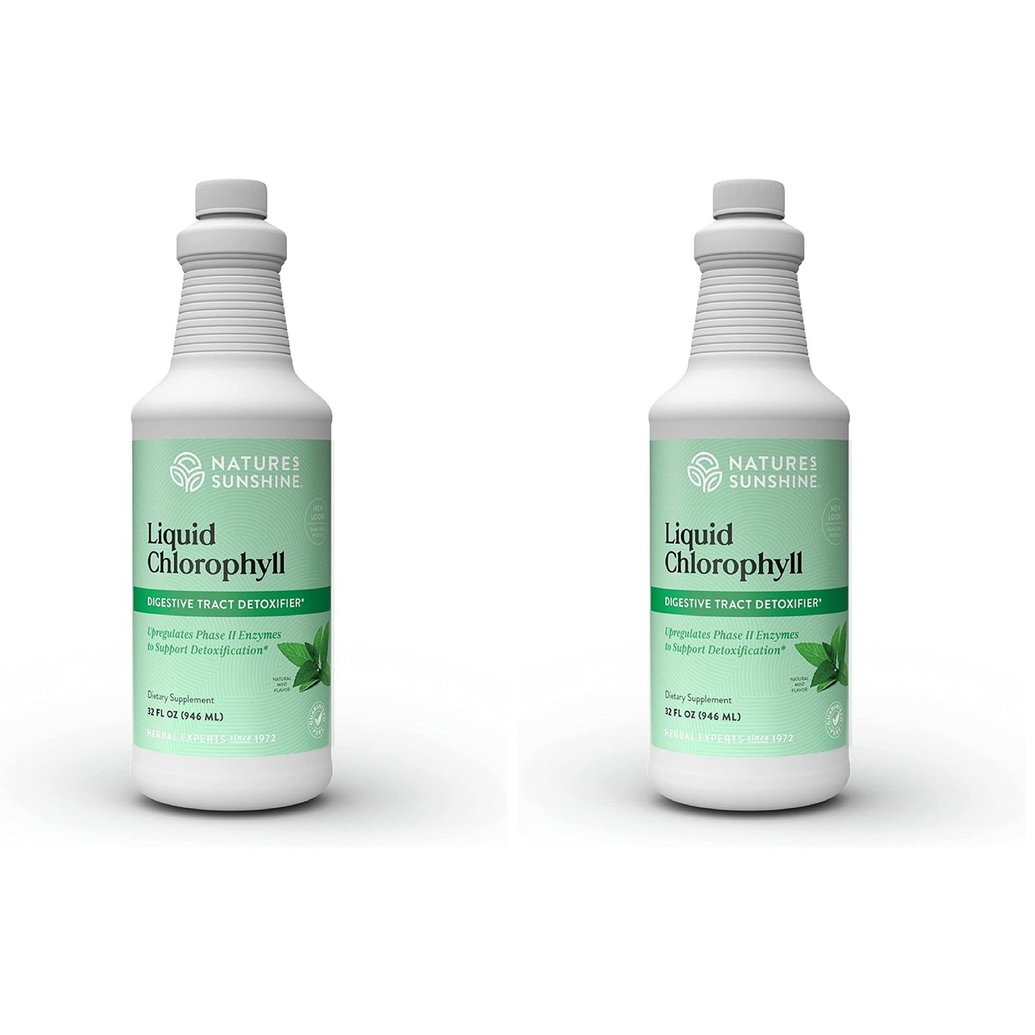 Nature's Sunshine Liquid Chlorophyll - Immunity Support, Detox & Cleanse, Chlorophyll Liquid Drops with Spearmint Oil, Natural Energy Boost, Internal Deodorant - 16 Fl Oz
