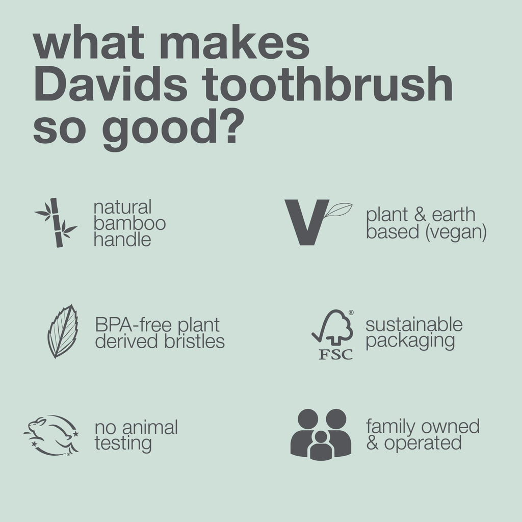 Davids Bamboo Soft Bristle Toothbrush Eco-Friendly BPA Free 3 Pack