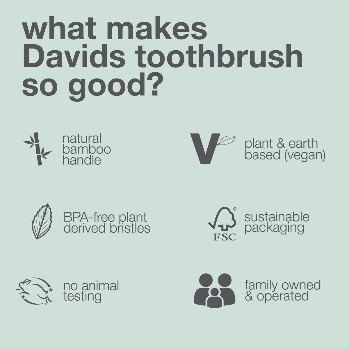 Davids Bamboo Soft Bristle Toothbrush Eco-Friendly BPA Free 3 Pack