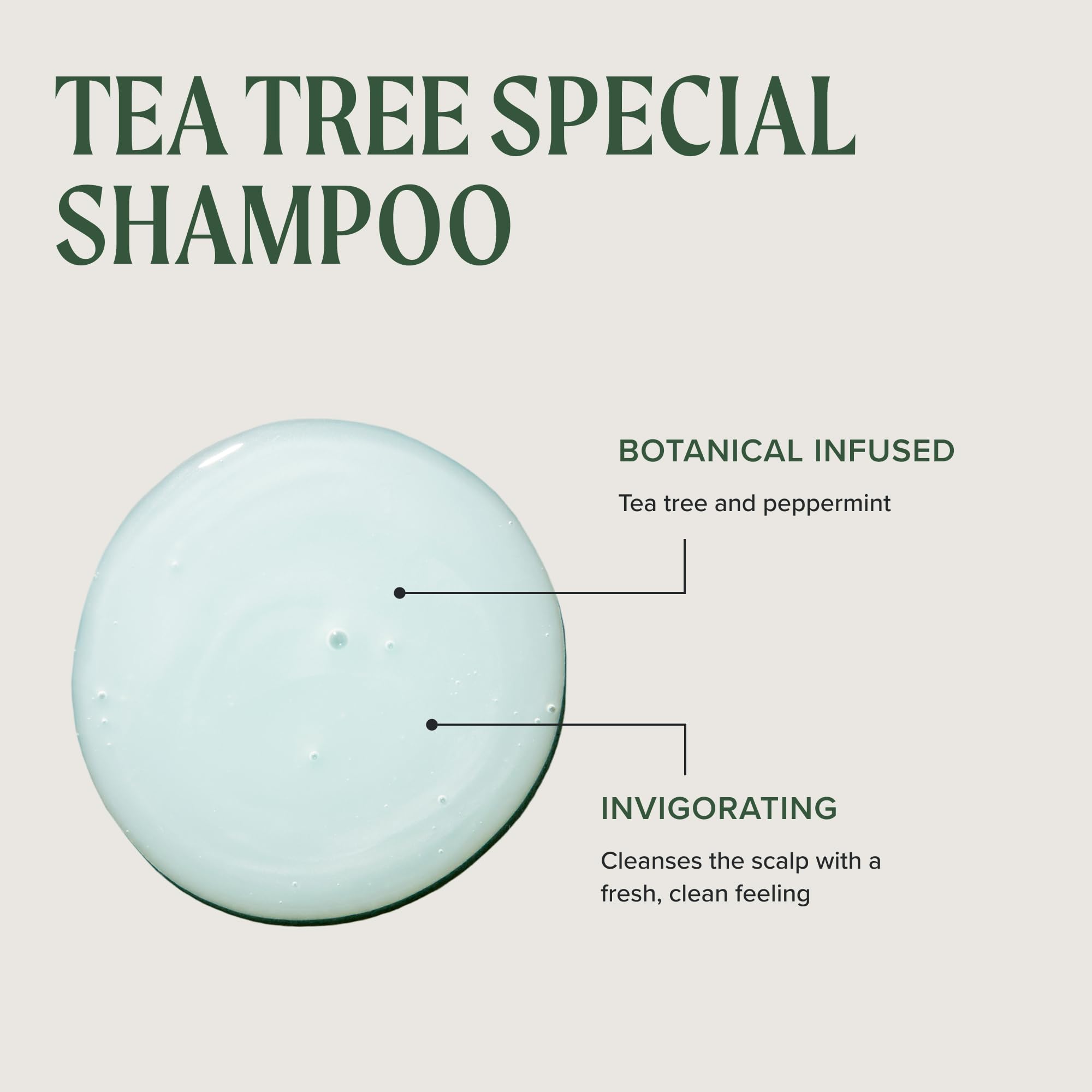 Tea Tree Special Shampoo, Deep Cleans, Refreshes Scalp, For All Hair Types, Especially Oily Hair