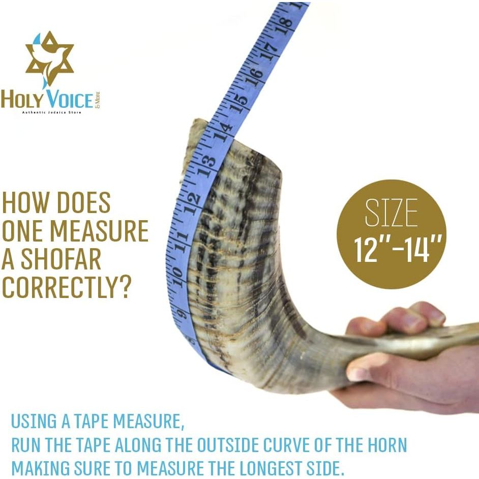 Buy now Holy Voice Kosher Ram Shofar Horn from Israel 12"-14" Traditional Half Polished, Holy Land Ancient Jewish Musical Instrument, Smooth Mouthpiece for Easy Blowing, Clear Sound Shofar at indiglob india