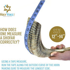 Buy now Holy Voice Kosher Ram Shofar Horn from Israel 12"-14" Traditional Half Polished, Holy Land Ancient Jewish Musical Instrument, Smooth Mouthpiece for Easy Blowing, Clear Sound Shofar at indiglob india
