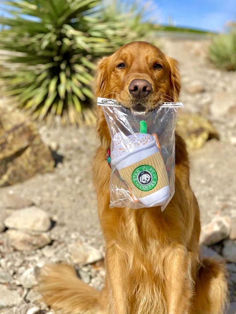 Nestpark Parody Star Pups Coffee Dog Toy Pup'kin Spice Latte - Funny Plush Squeaky Crinkle Dog Toys for Medium, Small and Large for Dog Birthday