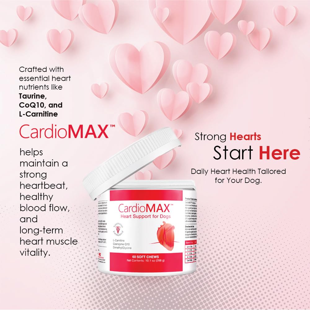 Heart Support Supplement for Dogs-Vet-Formulated, Antioxidant-Rich-L-Taurine, L-Carnitine,EPA,DHA,CoQ10-Aids Circulatory Strength, Cardiovascular Support, Heart Muscle Function-USA Made-60 Soft Chews