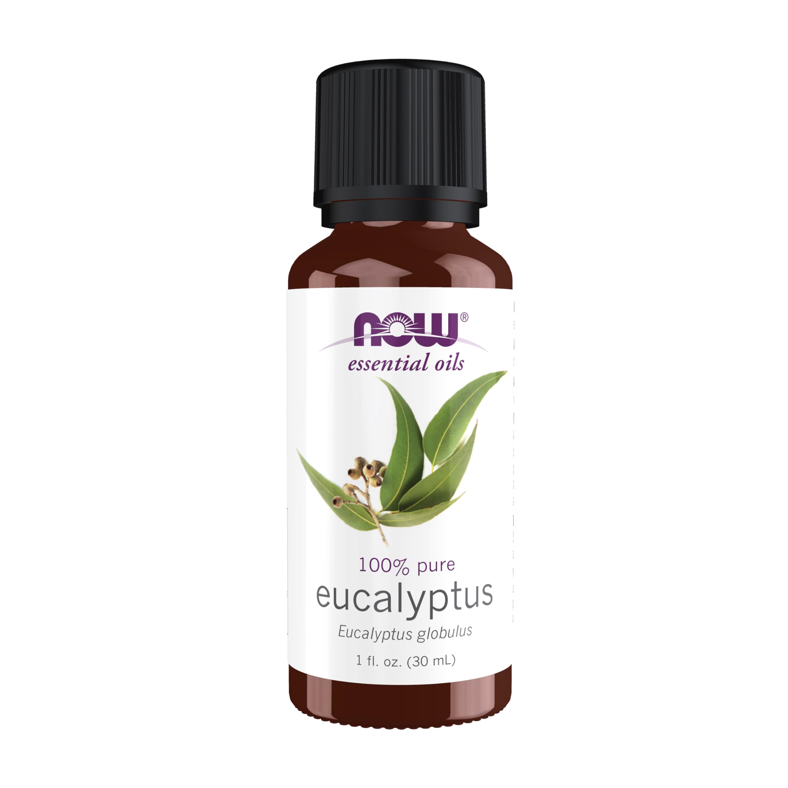 Buy now NOW Essential Oils, Eucalyptus Oil, Clarifying Aromatherapy Scent, Steam Distilled, 100% Pure, Vegan, Child Resistant Cap, 1-Ounce at indiglob india