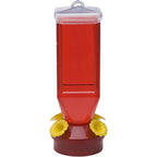Buy now Perky-Pet 201 Lantern Hummingbird Feeder- 18 oz, Red at indiglob india