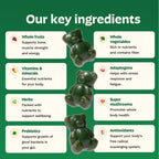 Adult Greens Gummies Sugar Free Multivitamin & Prebiotic Fiber, 10 ct | Daily Supplement for Men and Women with Vitamins, Minerals, Adaptogens, Fiber
