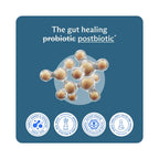 Buy now BodyBio Butyrate - Postbiotic for Gut Health, Digestive Support, Bloat, Gas & Constipation Relief, Leaky Gut Repair - Sodium + Butyric Acid Supplement for GI Wellness at indiglob india