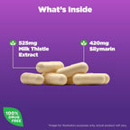 Buy now Natrol Milk Thistle 525 mg per Serving, Dietary Supplement for Digestive Health, Milk Thistle Supplement, 60 Capsules, 30 Day Supply at indiglob india