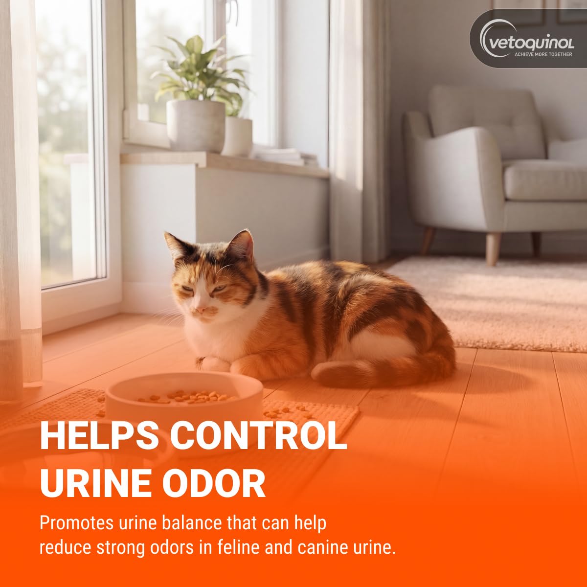 Vetoquinol Methigel, Urinary Acidifier for Dogs & Cats, 4.25 oz