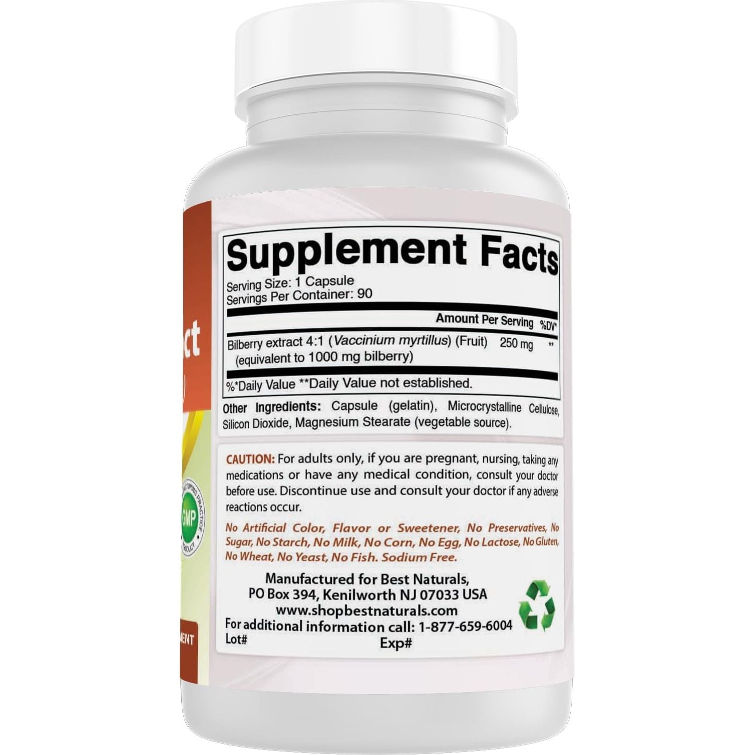 Buy now Best Naturals Bilberry Extract 1000mg Capsule (Non-GMO) Supports Healthy Vision, 90 Count at indiglob india