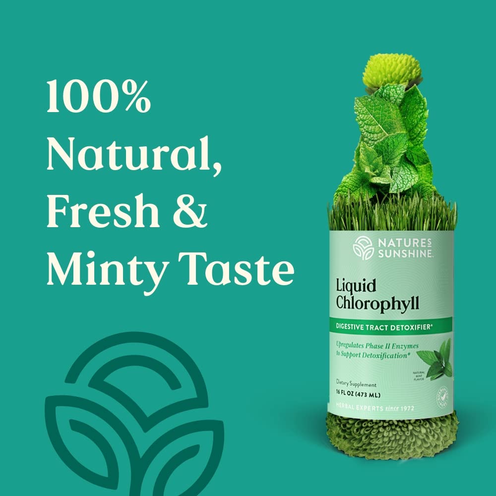 Nature's Sunshine Liquid Chlorophyll - Immunity Support, Detox & Cleanse, Chlorophyll Liquid Drops with Spearmint Oil, Natural Energy Boost, Internal Deodorant - 16 Fl Oz