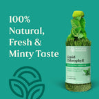 Nature's Sunshine Liquid Chlorophyll - Immunity Support, Detox & Cleanse, Chlorophyll Liquid Drops with Spearmint Oil, Natural Energy Boost, Internal Deodorant - 16 Fl Oz