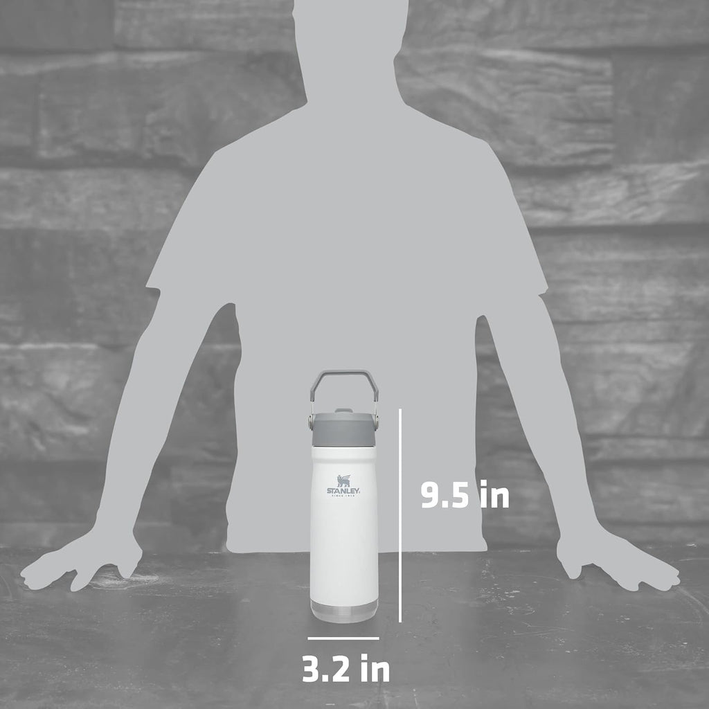 Buy now Stanley IceFlow Flip Straw Water Bottle 22 oz | Built-In Straw for Travel and Sports | Lightweight and Leak Resistant | Insulated Stainless Steel | BPA-Free | Polar at indiglob india