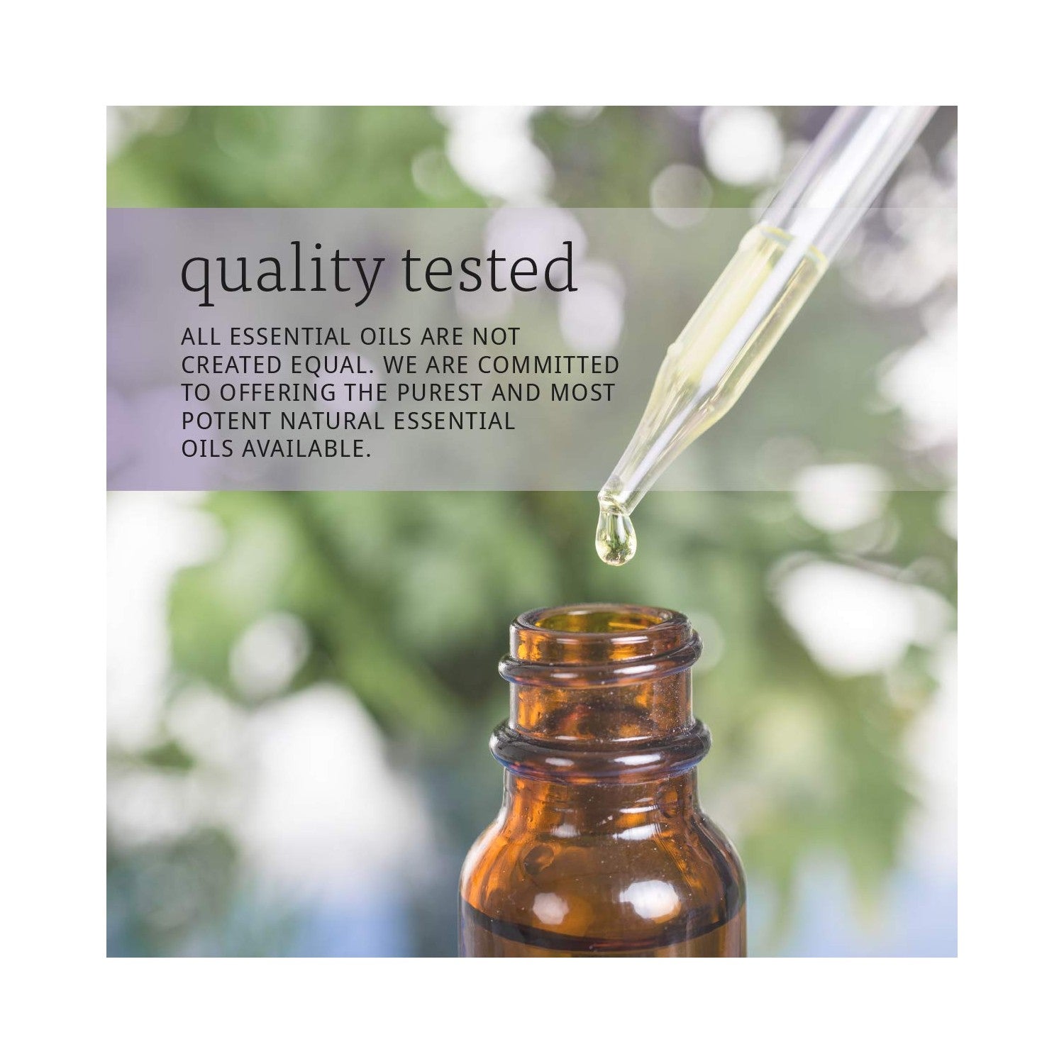 Buy now NOW Essential Oils, Eucalyptus Oil, Clarifying Aromatherapy Scent, Steam Distilled, 100% Pure, Vegan, Child Resistant Cap, 1-Ounce at indiglob india