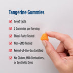 Nordic Naturals Omega-3 Gummies for Kids & Adults, Tangerine - 60 Count | 82 mg total omega-3s w/ EPA & DHA per serving supports heart, brain, & eye health. Tangerine flavor gummies, non-GMO formula