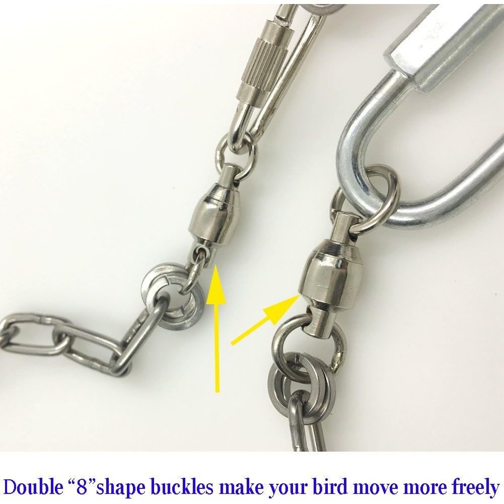 Buy now Pet Bird Leash Parrot Foot Chain Stainless Steel 304 Anklet Ring (Model 15, 14.5mm) at indiglob india