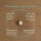 New Chapter Fermented Zinc Complex Supplement, 90 Count | ONE Daily for Immune Support and Skin Health, Mineral-Balancing Formula Rich in Copper, Easy to Swallow and Digest