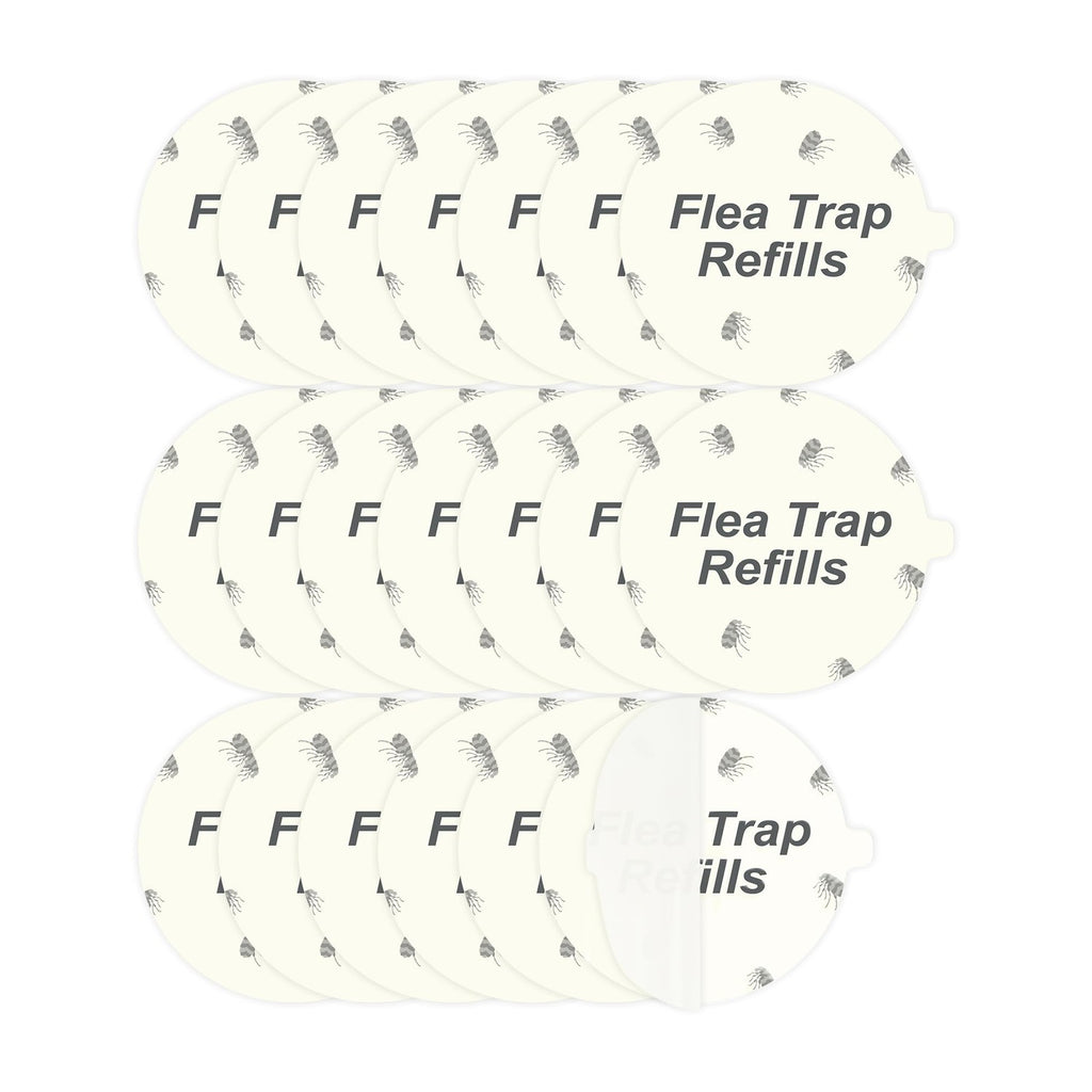 Dichroma Flea Trap Sticky Pads Refills, 7.1" Refill Discs, 20 Pack